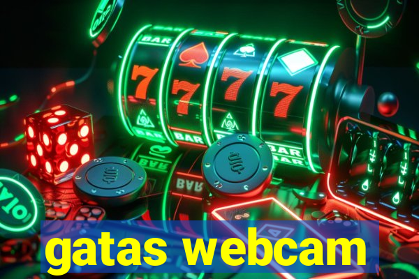gatas webcam